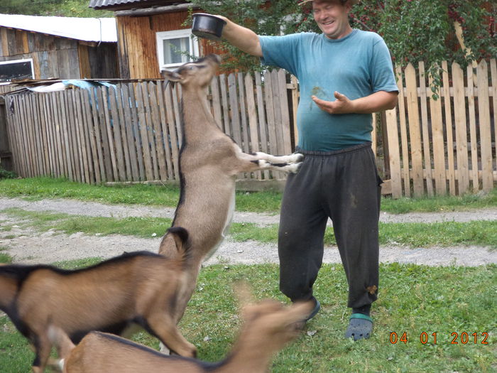 Ieduta de la Negruta