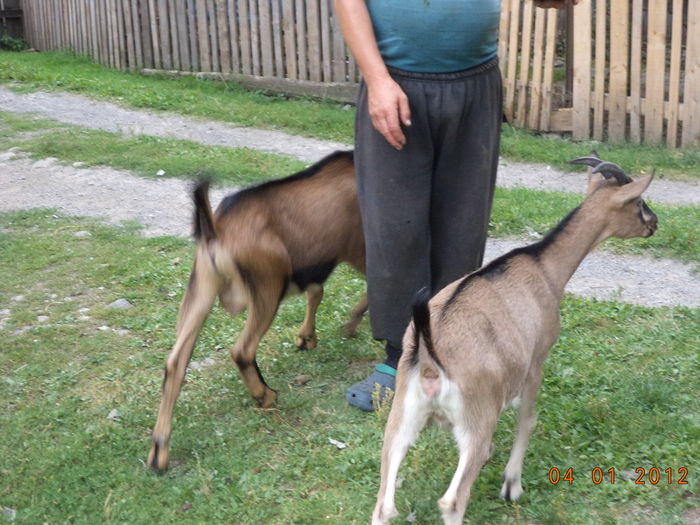 Intr-o continua miscare