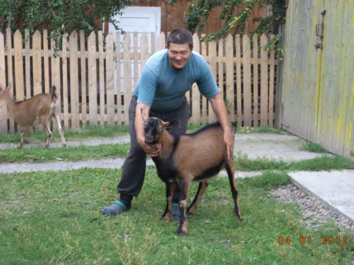 Tapul de la Reghin-1