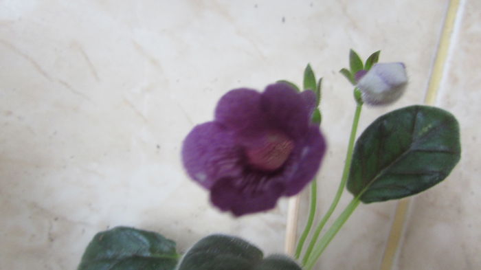 019