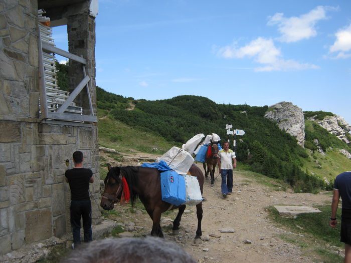 IMG_0609 - Vacanta august 2015-Ceahlau