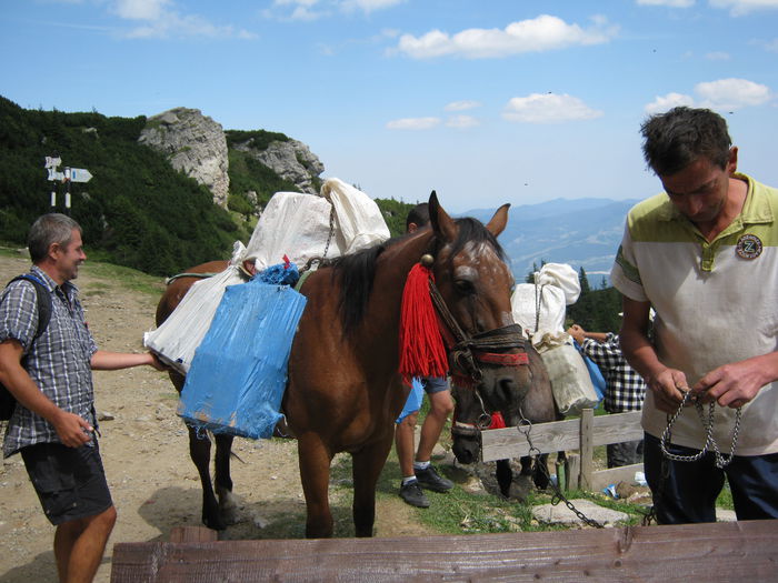 alimente pentru cabana Dochia - Vacanta august 2015-Ceahlau