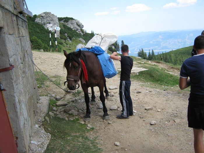 IMG_0611 - Vacanta august 2015-Ceahlau