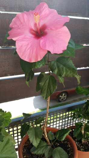 20150802_105721