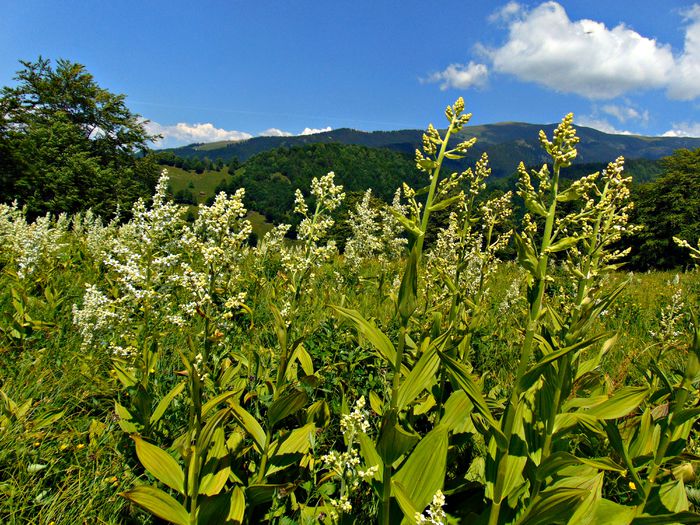 DSC08305