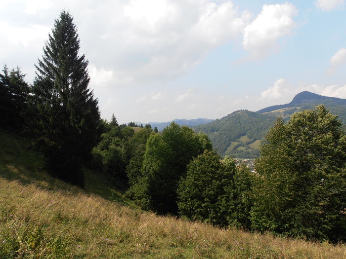P8130146