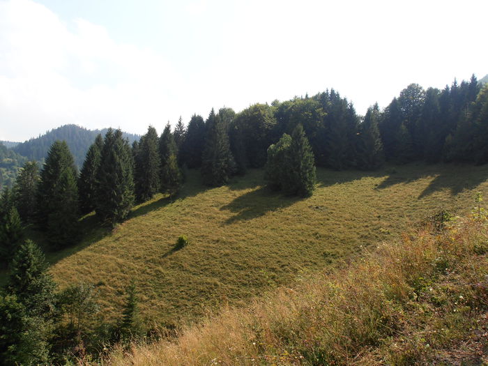 P8130148
