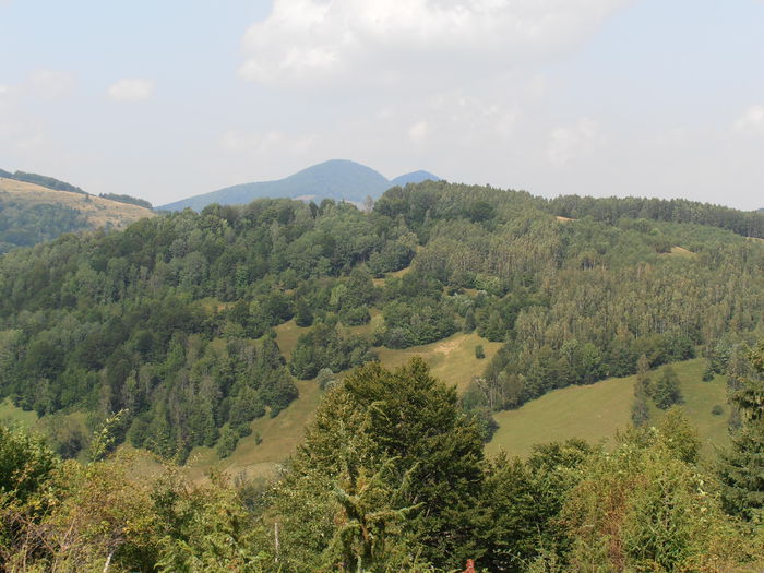P8130149
