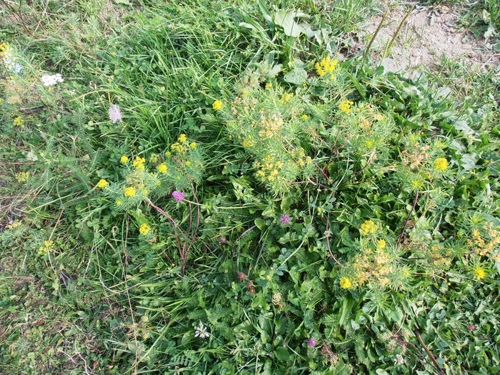 P8130160