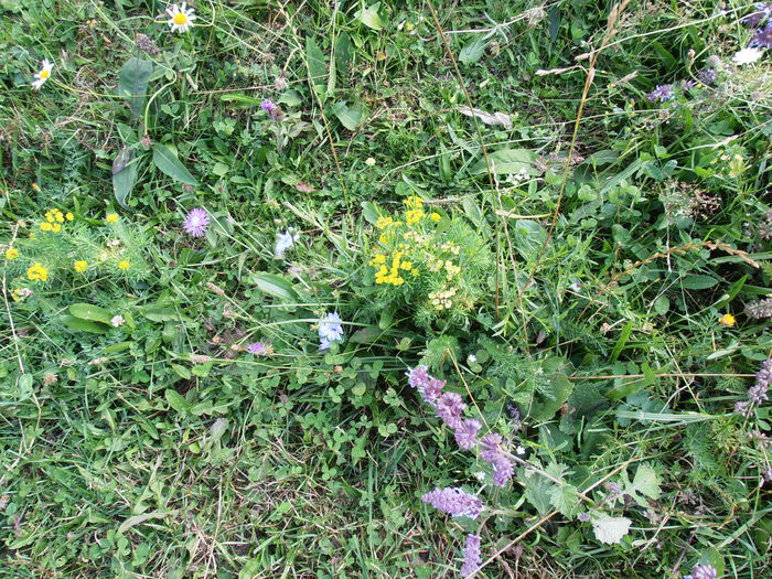 P8130161