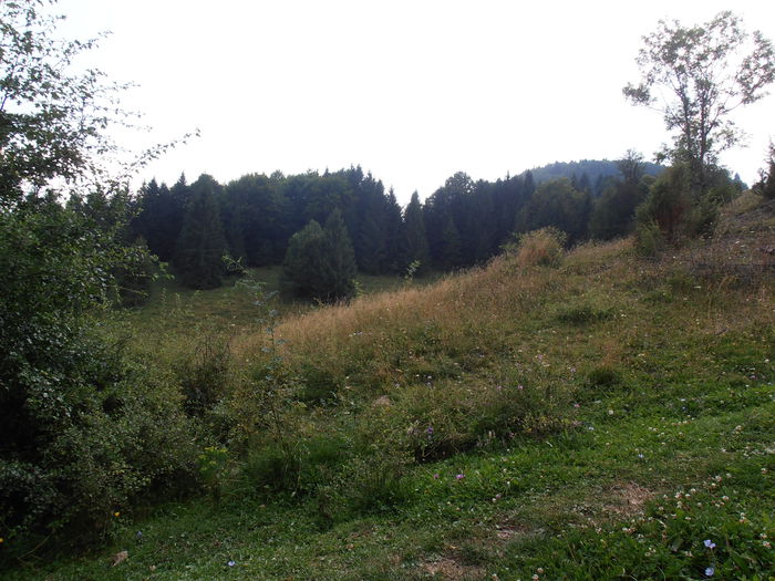 P8130163