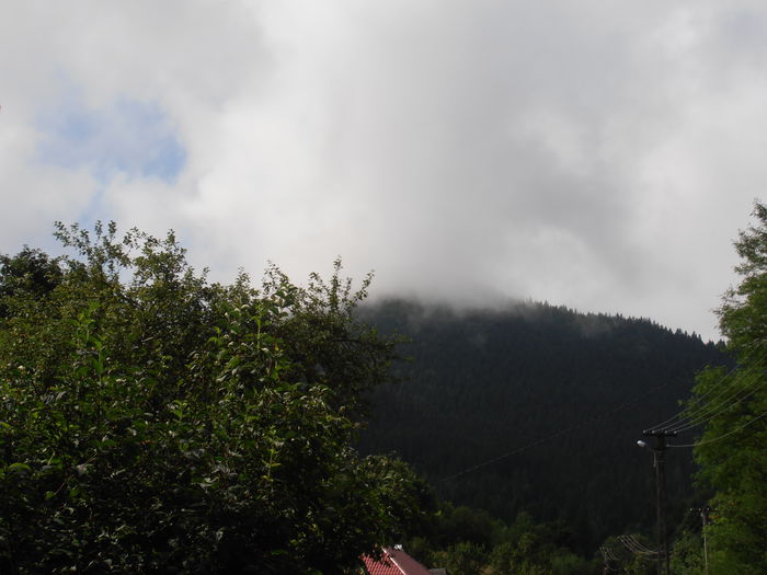 P8150200