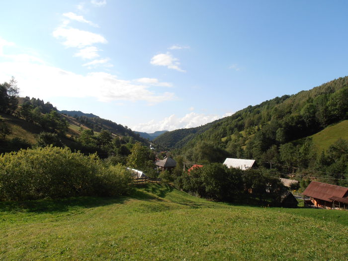 P8150203