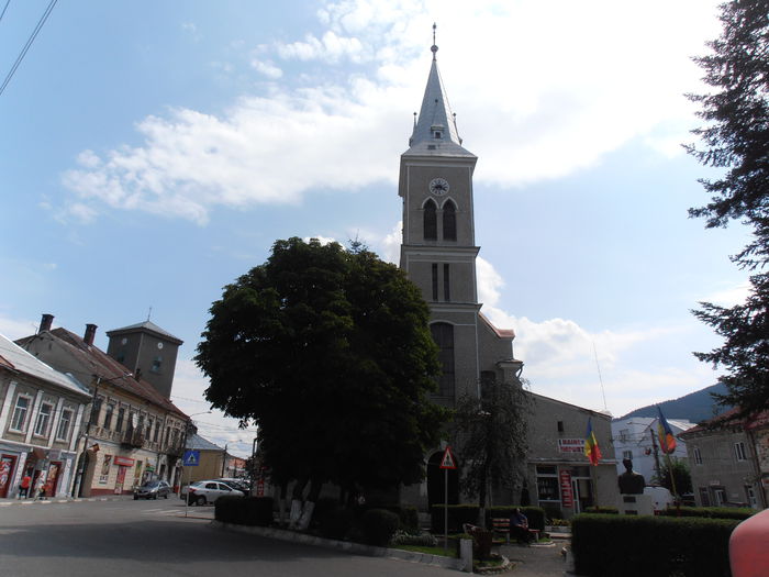 P8200225 - Vara la munte