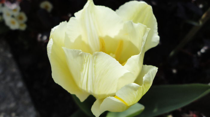 DSC09476