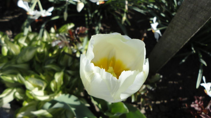 DSC09551