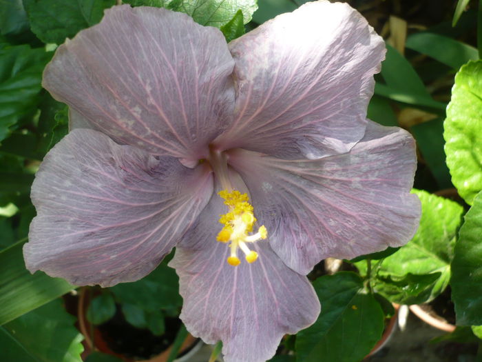 P1230583