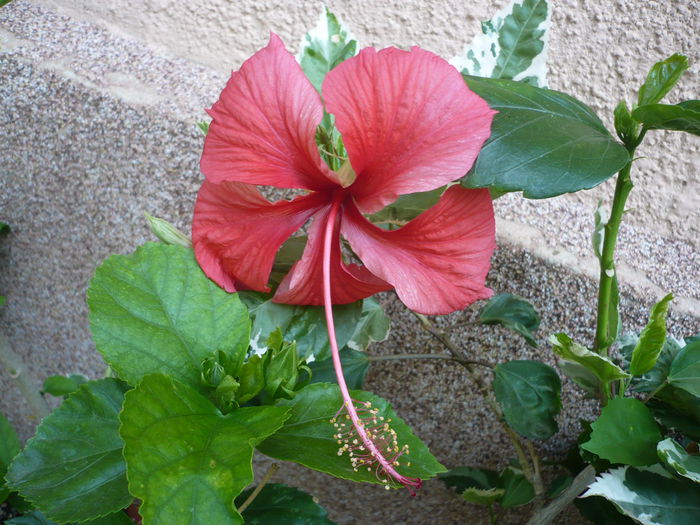 P1230576