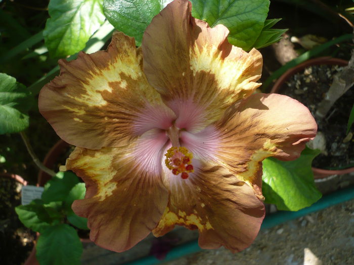 P1230582