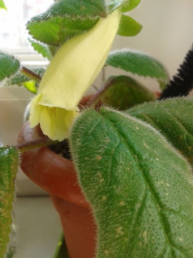 20150811_105458