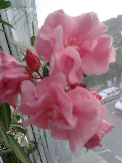 20150811_192832