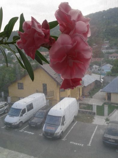 20150811_192847
