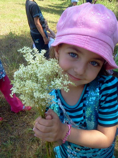 Fotografie2252 - flori din vara 2015