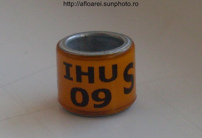 ihu 09 s - IRLANDA SUD