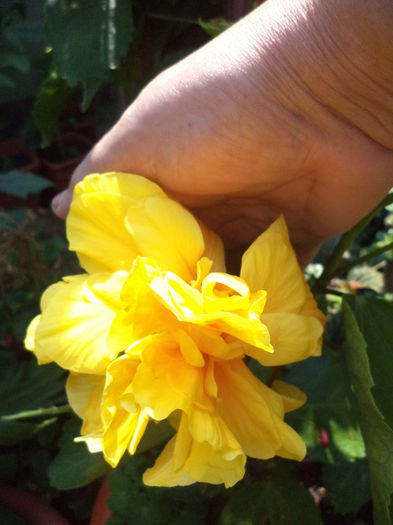 DSC04668 - august 2015
