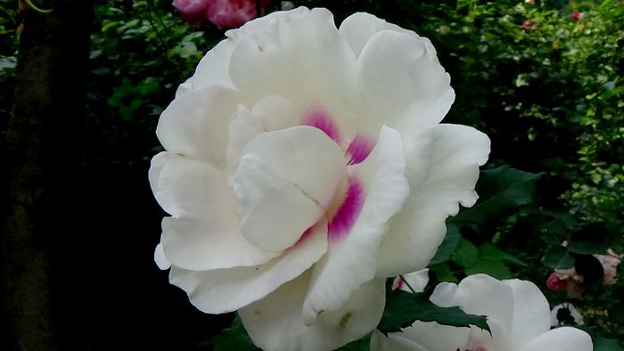 DSC01718