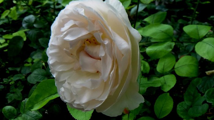 DSC01725