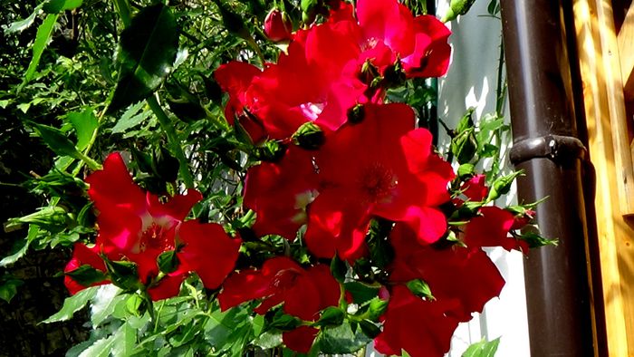 DSC01747