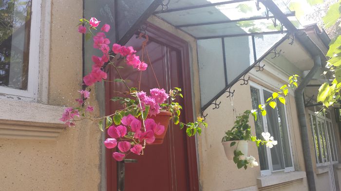 20150816_122012 - Buga