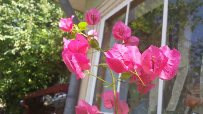 20150816_122123
