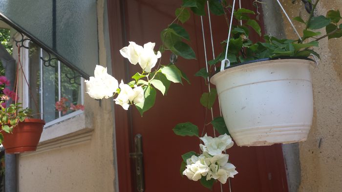 20150816_121919