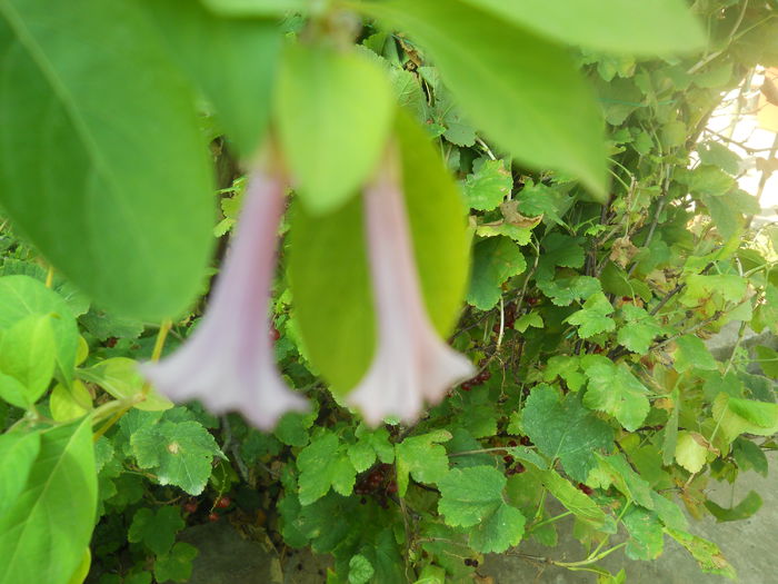 DSCN8430