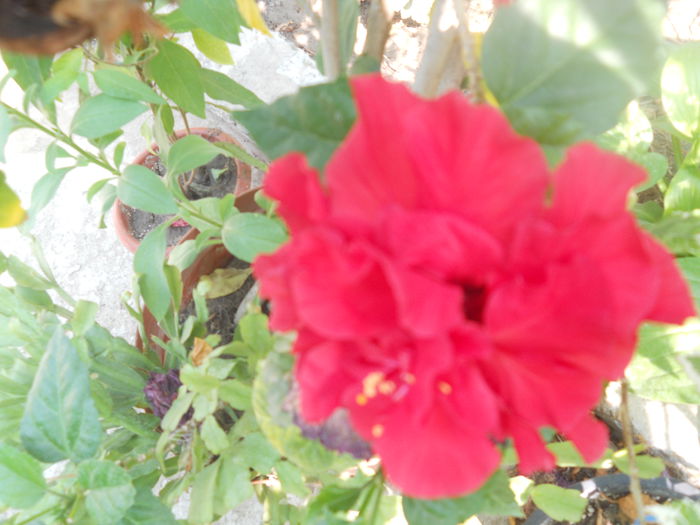DSCN8422