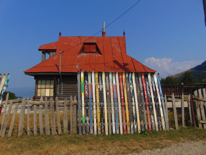 DSC09485
