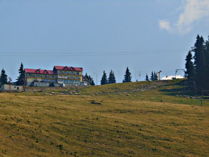 DSC09501