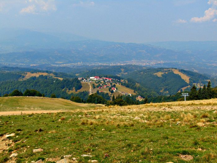 DSC09515