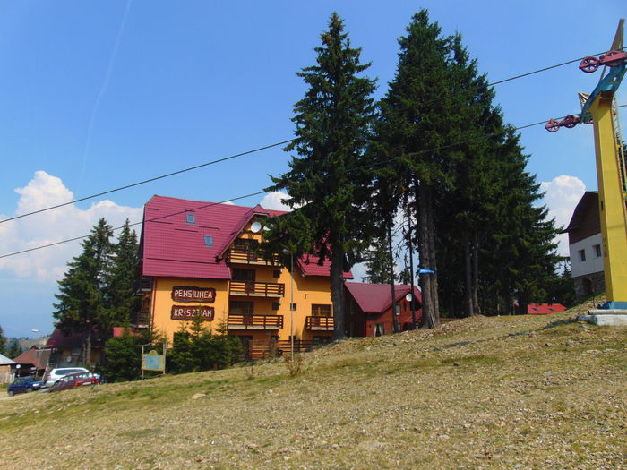 DSC09528