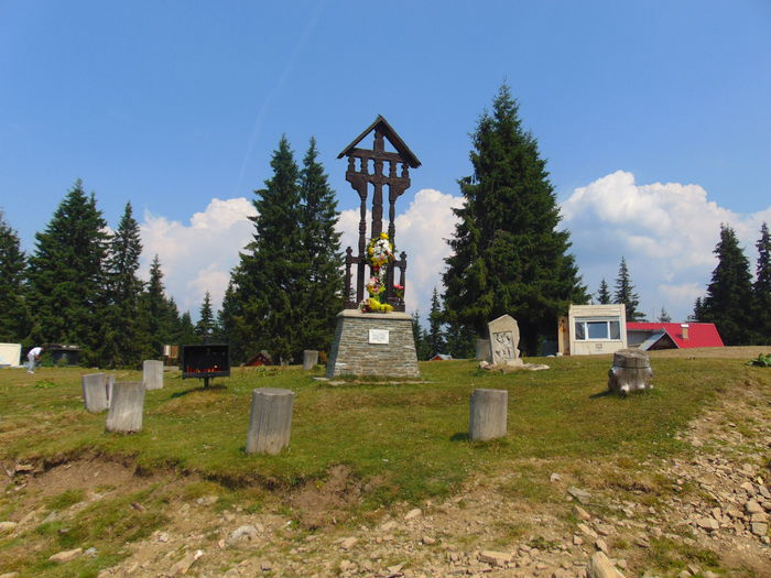 DSC09529