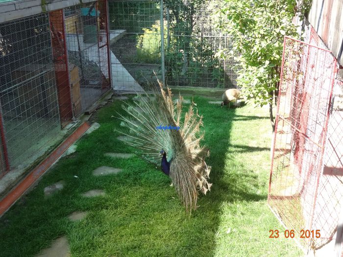 DSC01749