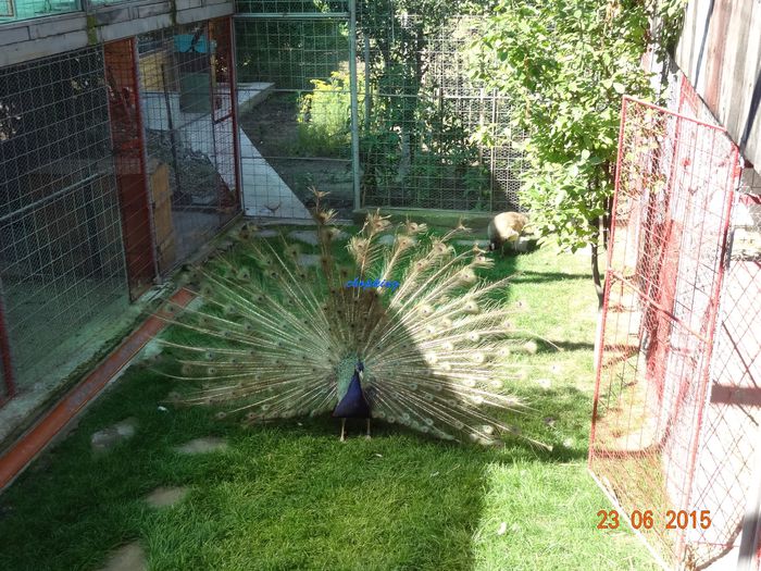DSC01750
