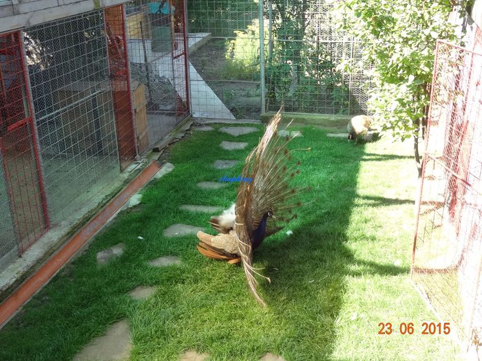 DSC01751