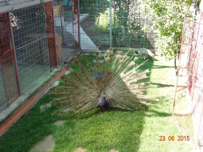DSC01752