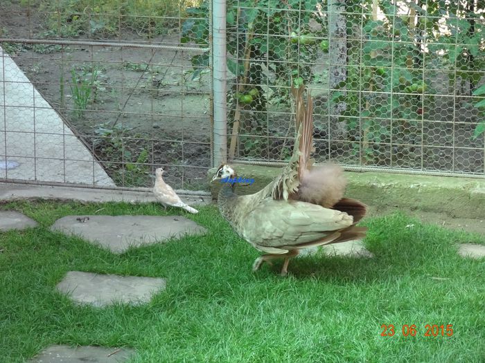 DSC01762
