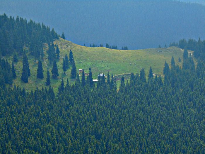DSC09547