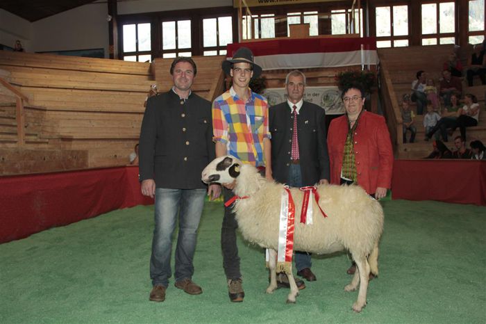 Oaie premiata-765 - Rase de oi si capre -Poze deosebite-8