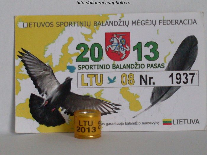 ltu 2013 - LITUANIA-LTU